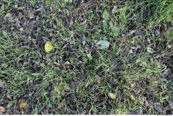 Photo of Various Textures